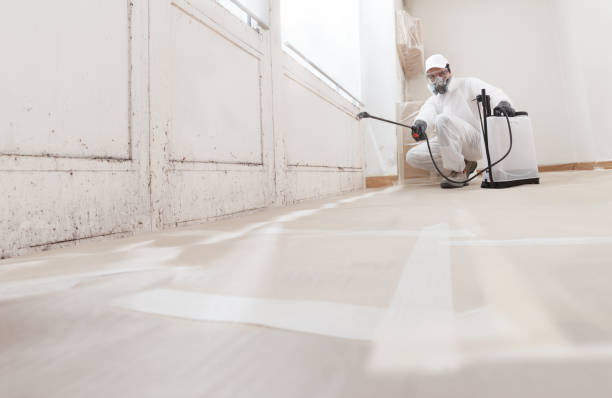24/7 Emergency Mold Removal experts in Parrish, FL